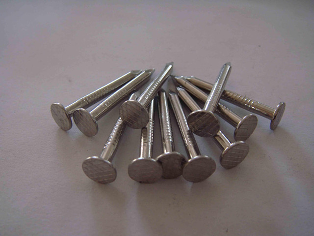 Galvanized Steel Nails