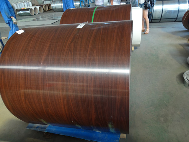 prepainted galvanized steel coil