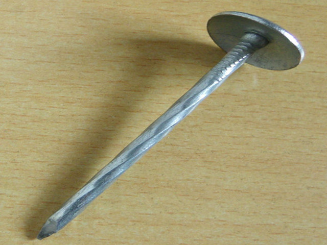 Galvanized Steel Nails